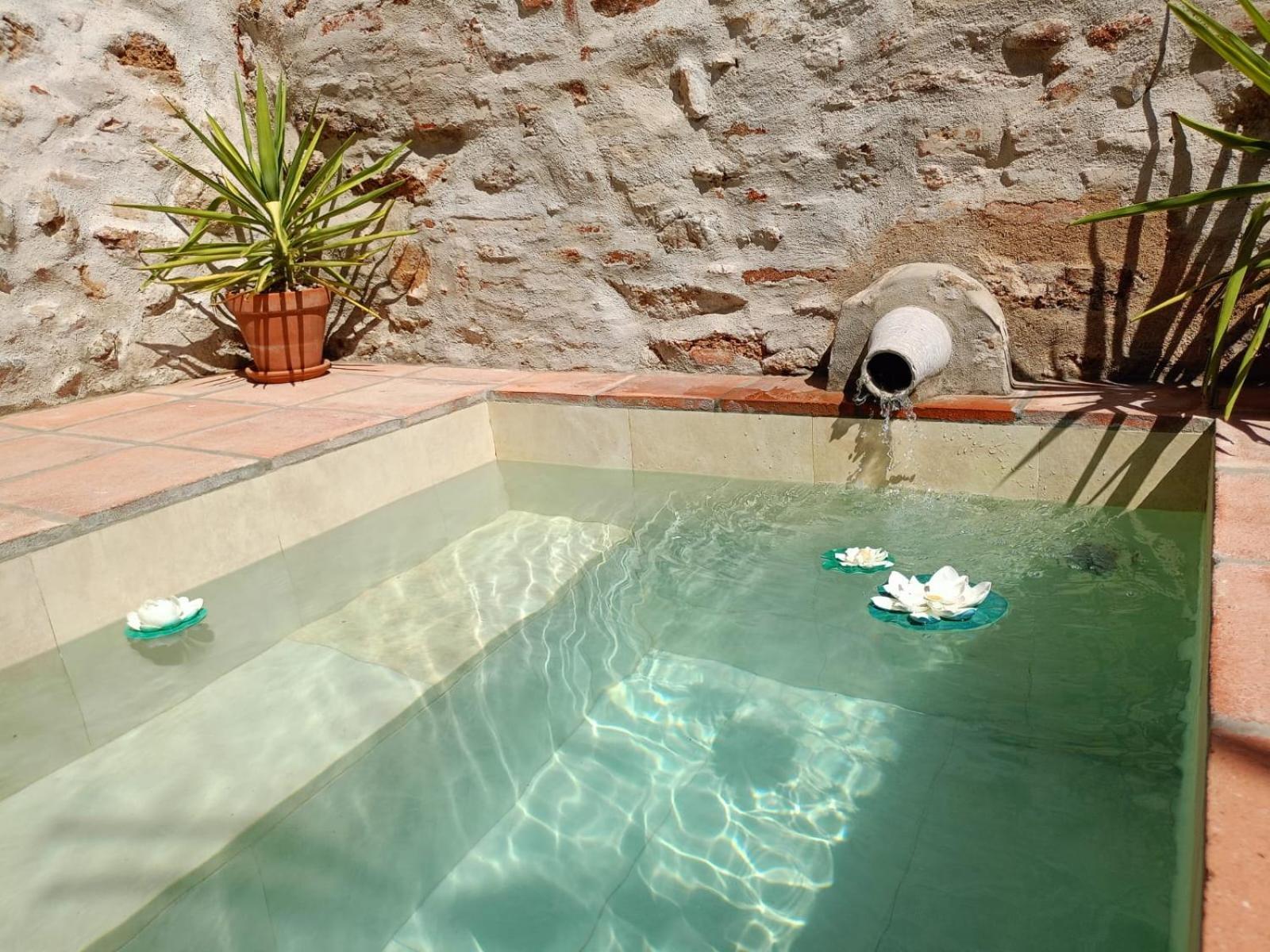 Casa Rural El Palomar El Pedroso Exterior photo